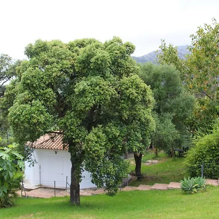 El Campo *
